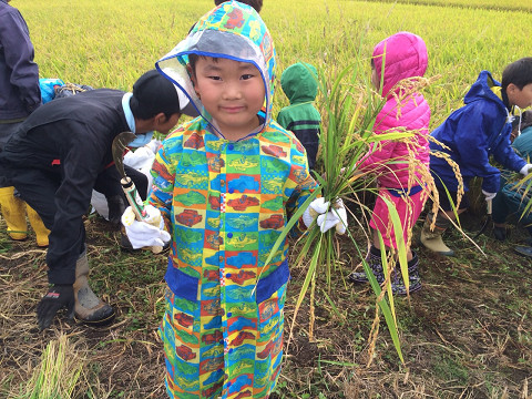 20150912-1.jpg