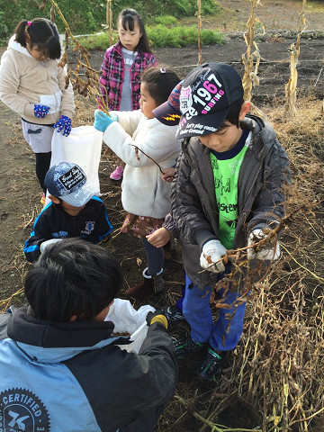 h271030青年部食育①.jpg